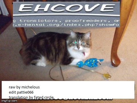 (C82) [生姜うどん、枯葉 (たまご、煌月忍)] Marshmallow chocolate (ブリーチ) [英訳]