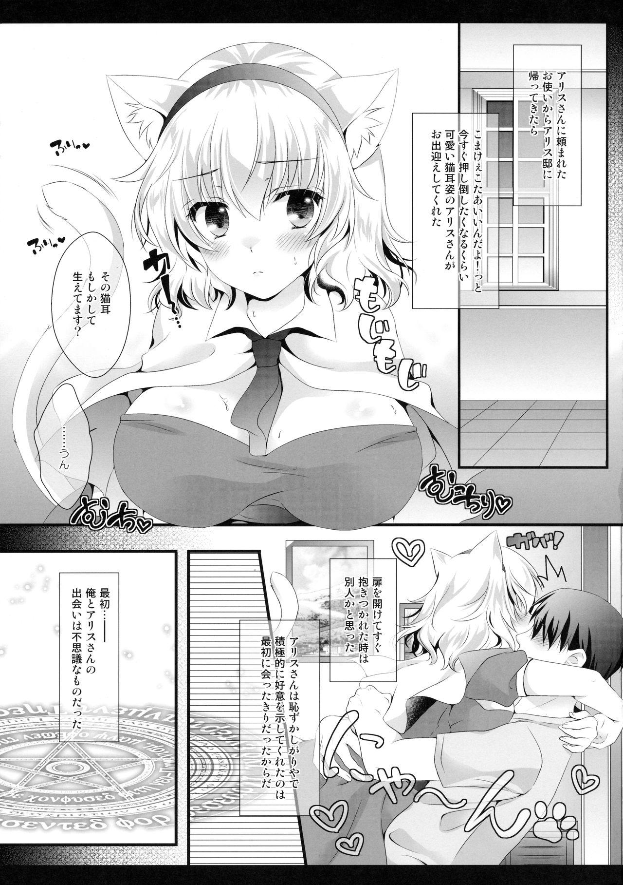 (紅楼夢12) [せとらん (イトウせと、タンノらん)] アリス・ワールド おもらしにゃんこ (東方Project)