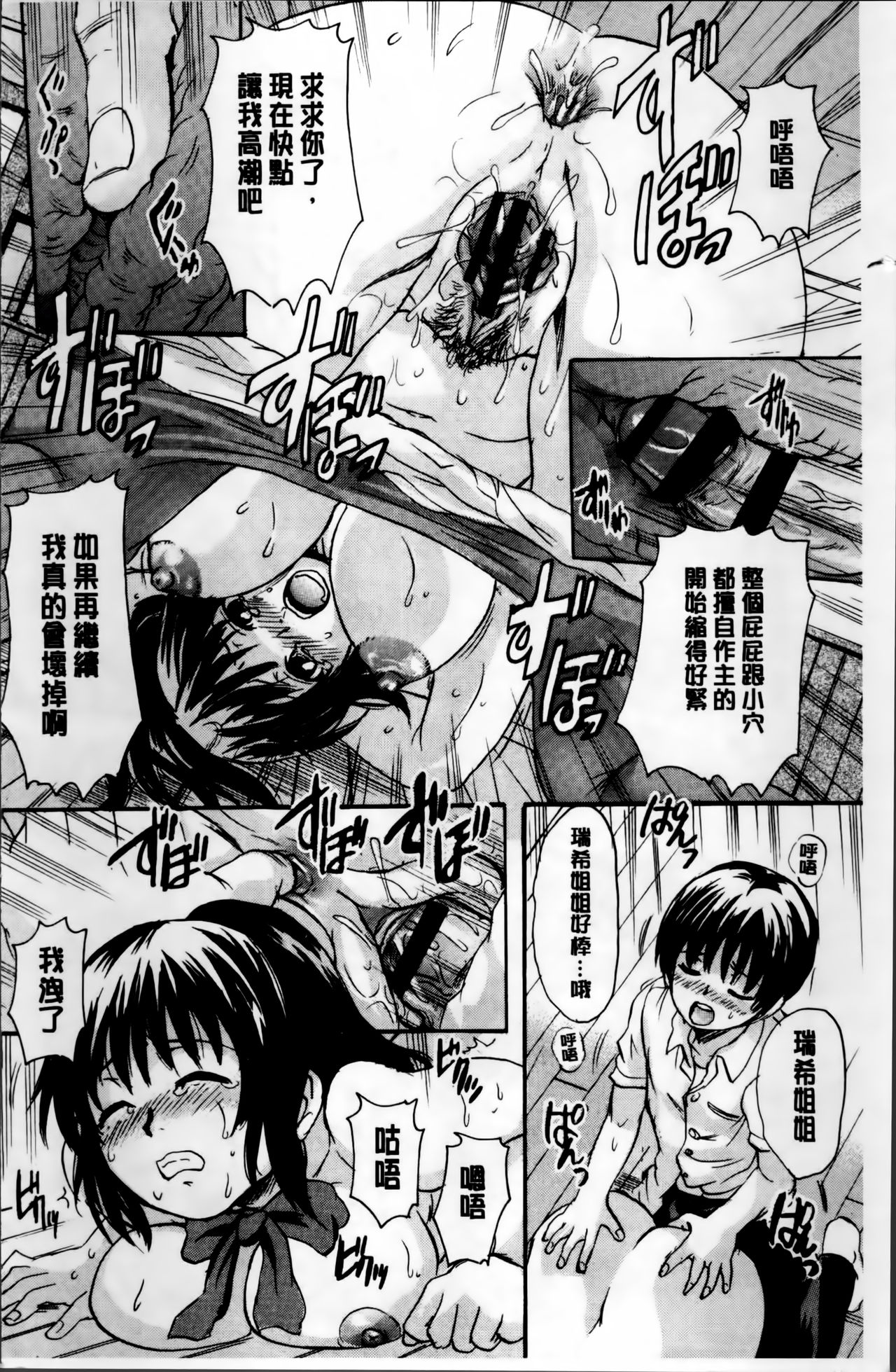 [中山哲学] オトナペット [中国翻訳]