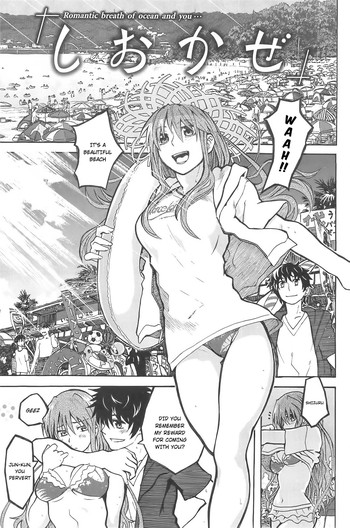 [駄菓子] しおかぜ (純潔の終わる日々…) [英訳]