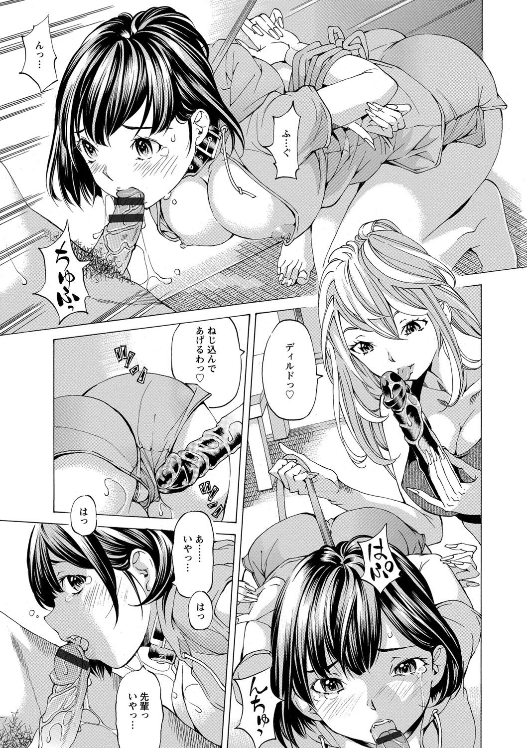 [野原ひろみ] 愛玩哀奴 [DL版]