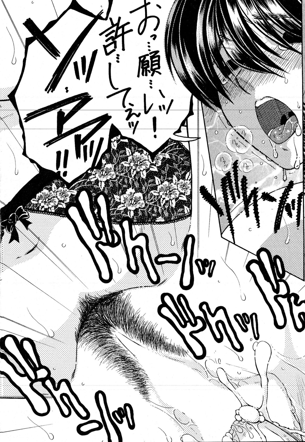 コミックミルフ 2016年6月号 Vol.30