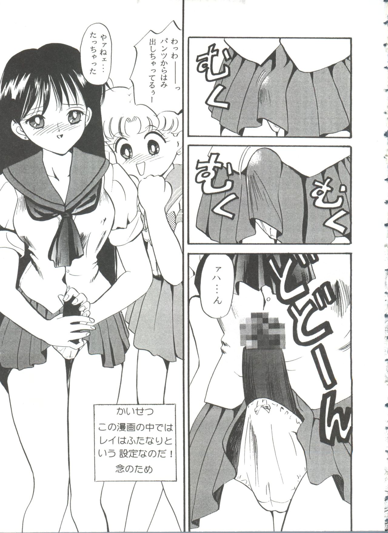 [アンソロジー] フロム ザ ムーン 3 (美少女戦士セーラームーン)