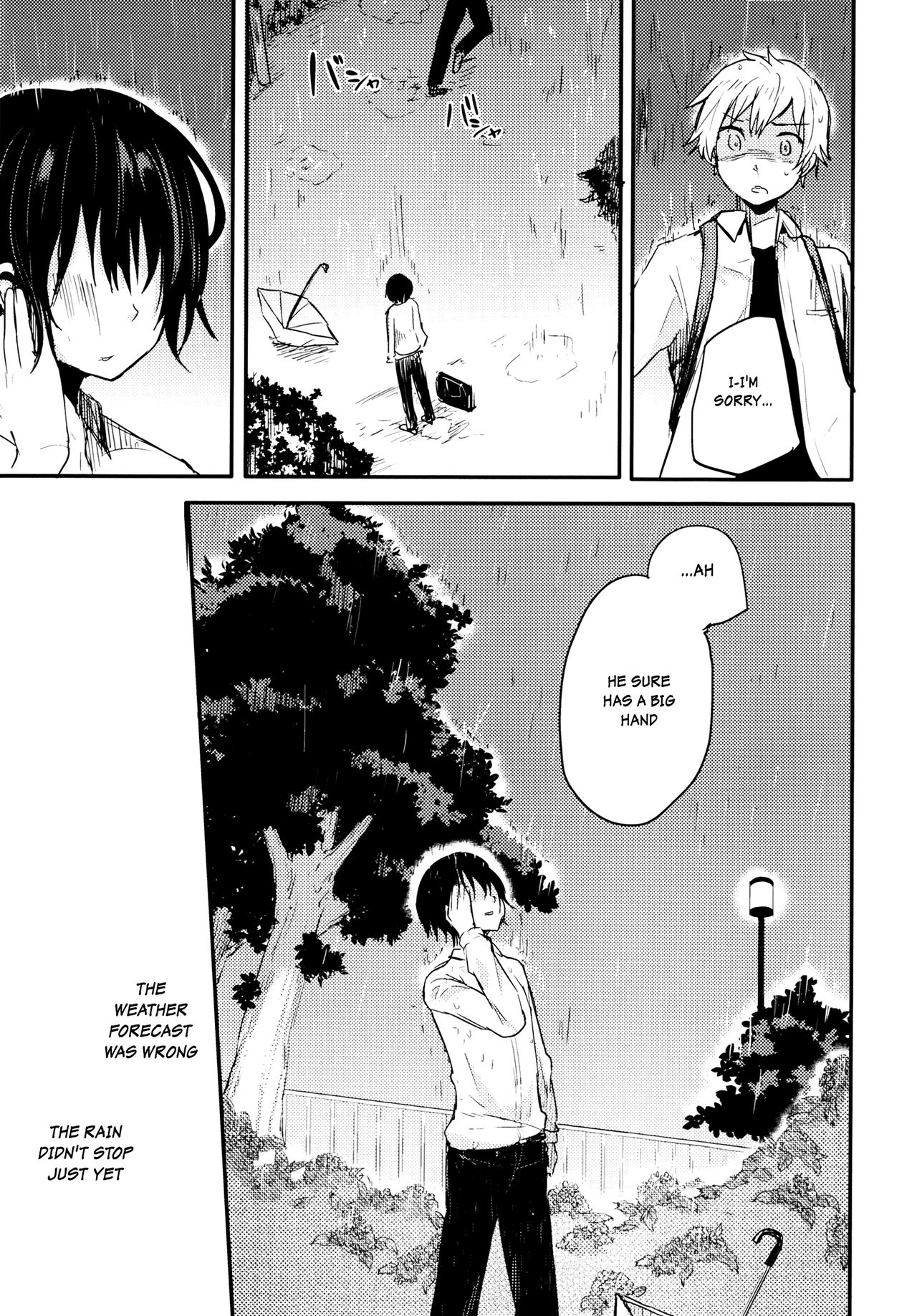 (コミティア117) [青色一座 (あおいろ一号)] のらねことレインデイズ [英訳]