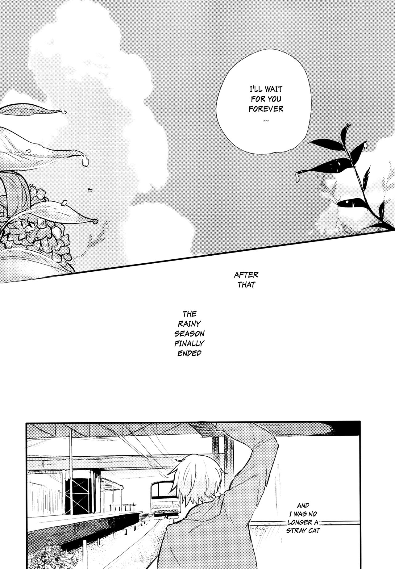 (コミティア117) [青色一座 (あおいろ一号)] のらねことレインデイズ [英訳]