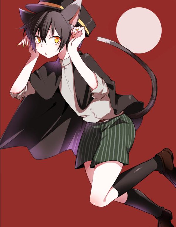 (コミティア117) [青色一座 (あおいろ一号)] のらねことレインデイズ [英訳]