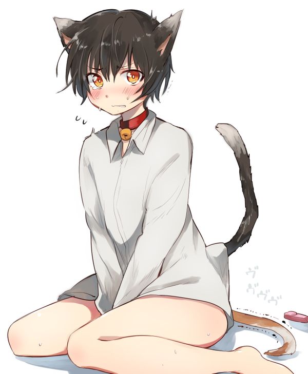 (コミティア117) [青色一座 (あおいろ一号)] のらねことレインデイズ [英訳]