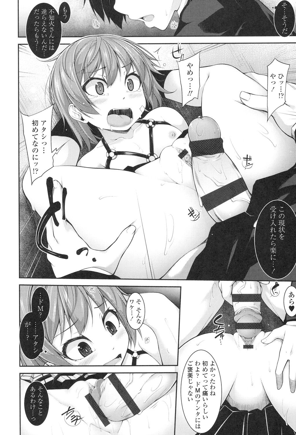 [シャチカマボコ] Clever? Solution [DL版]