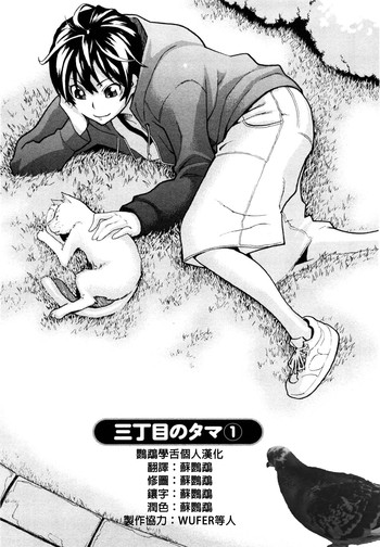 [三上キャノン] 三丁目のタマ 第1話 (めちゃむちゃH) [中国翻訳]