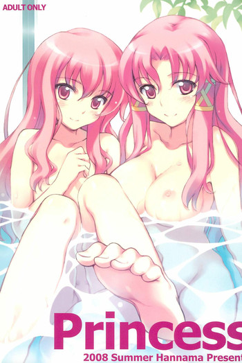 (C74) [はんなま (せれれ)] Princess (ゼロの使い魔)