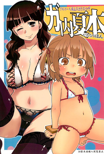 (C78) [ブロンコ一人旅、スミカラスミマデ (内々欅、ガビョ布)] ガ内夏本 (みつどもえ)