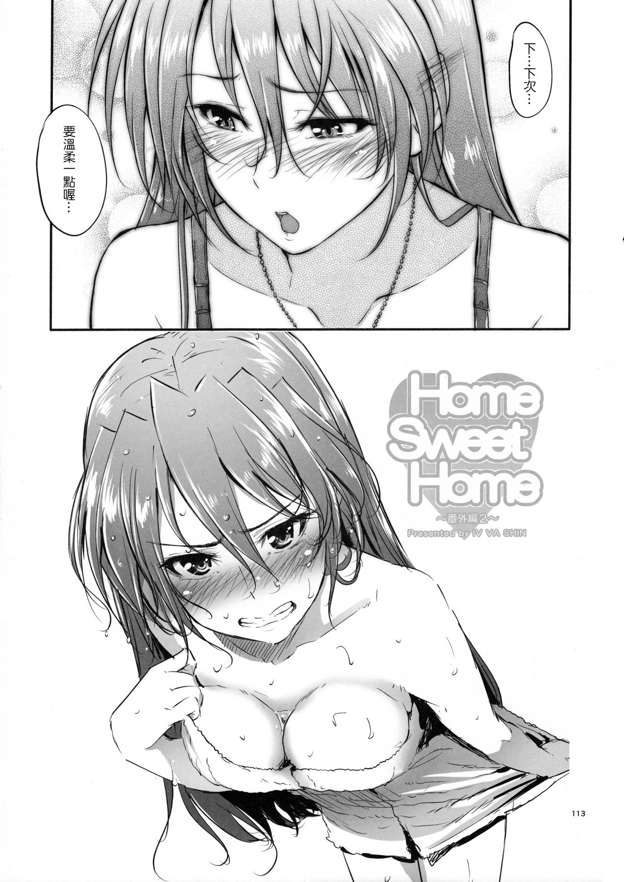 (C88) [IV VA SHIN (みくに瑞貴)] Home Sweet Home ~総集編~ (魔法少女リリカルなのは) [中国翻訳]