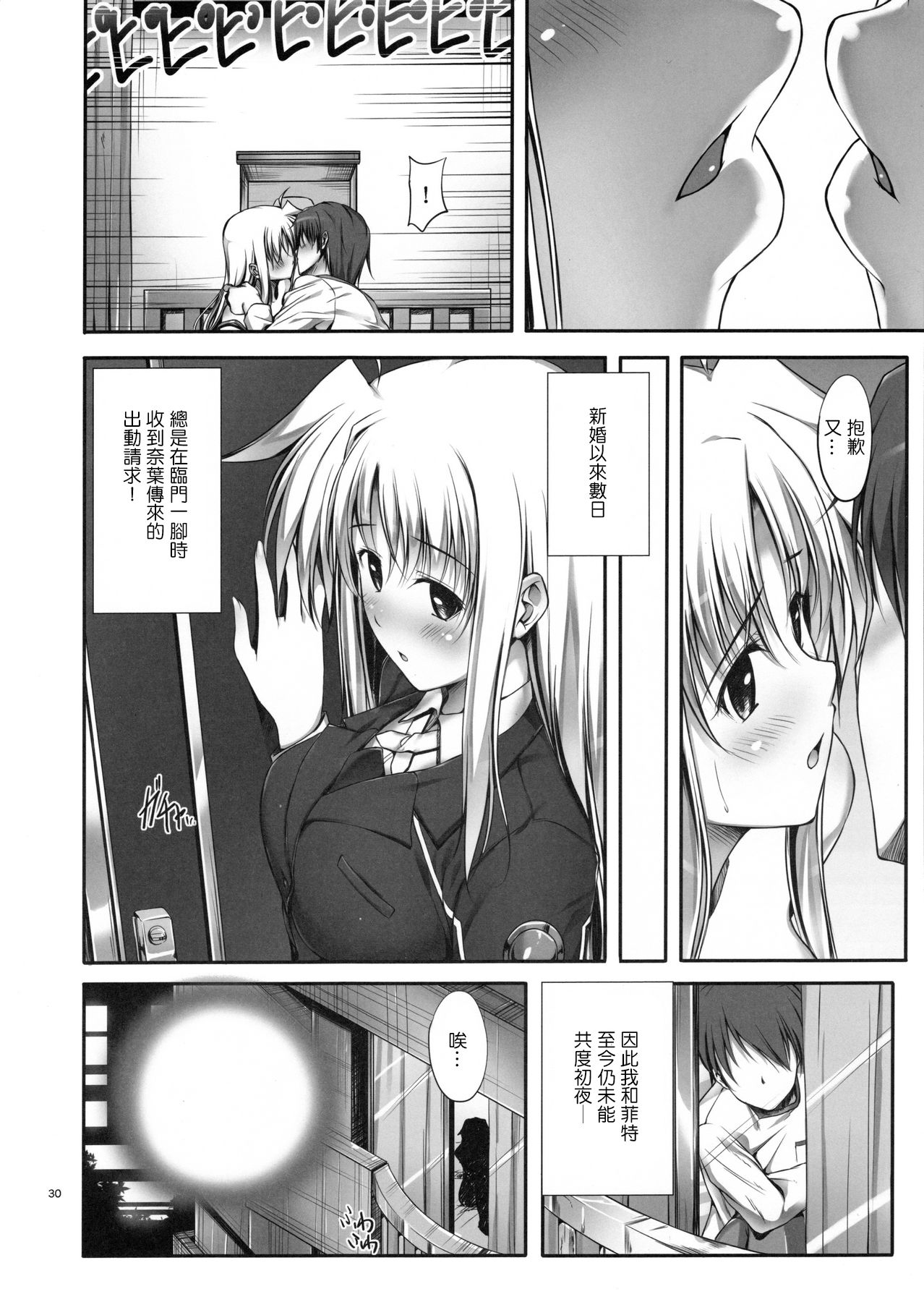 (C88) [IV VA SHIN (みくに瑞貴)] Home Sweet Home ~総集編~ (魔法少女リリカルなのは) [中国翻訳]