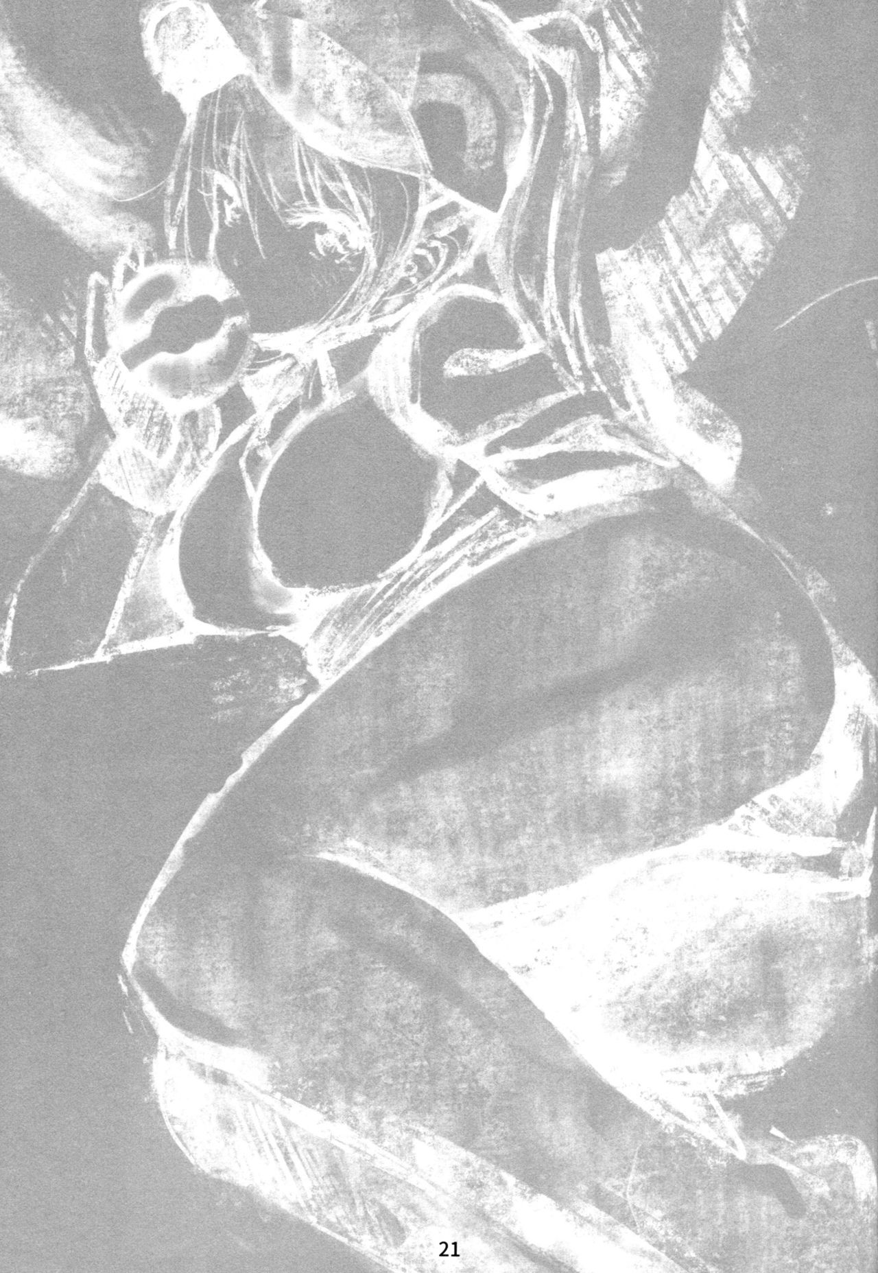 (C90) [ナイロン100% (ナイロン)] GO (ポケモンGO)