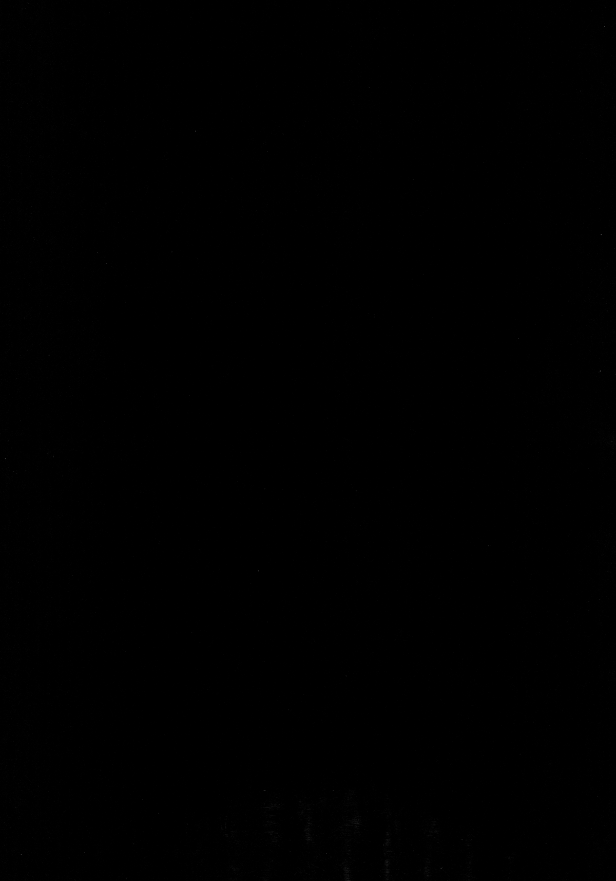 (C89) [Ash Wing (まくろ)] BF IV [英訳]