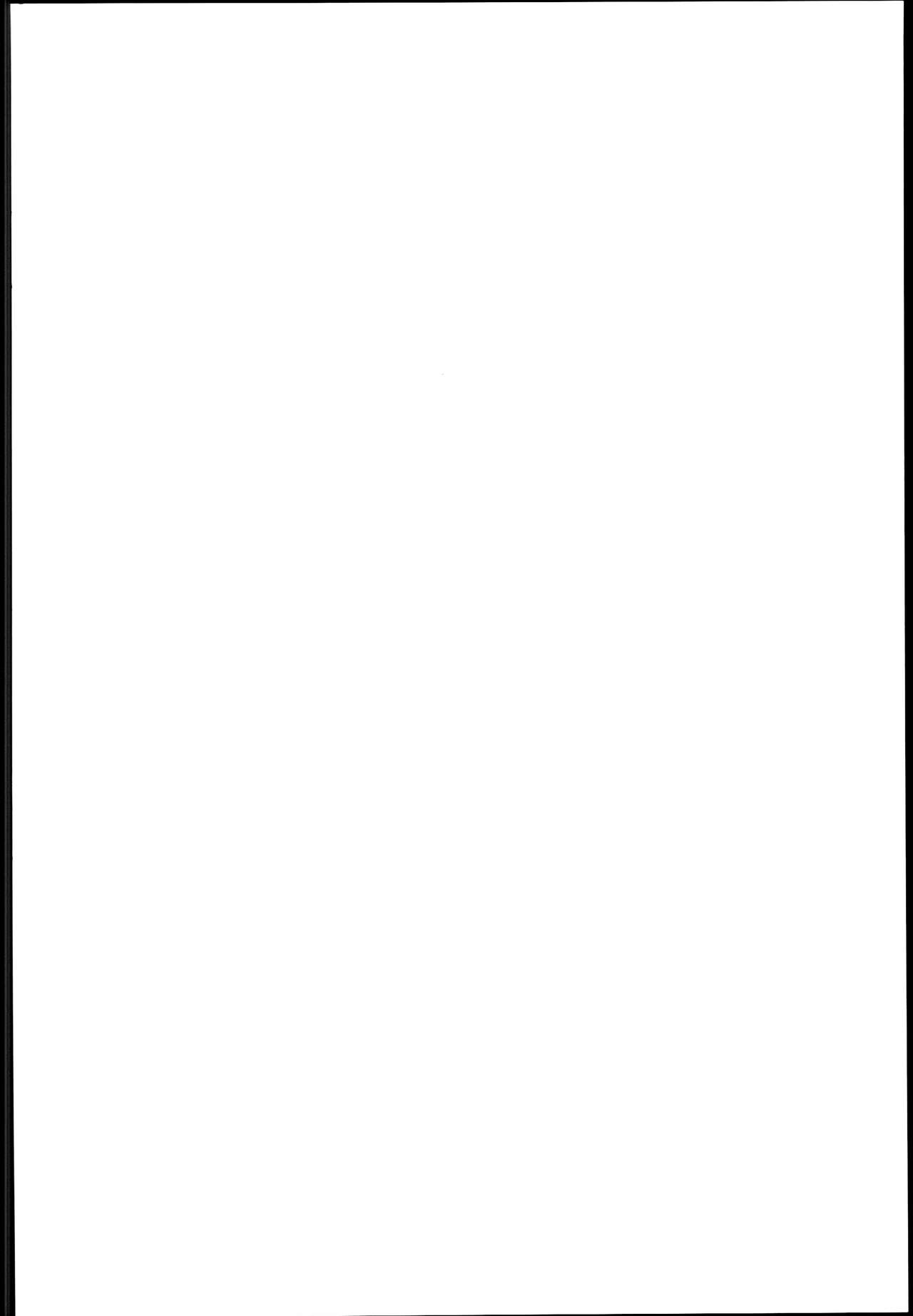 (C90) [青豆腐 (ねろましん)] 豊穣の隷属エルフ2 [中国翻訳]