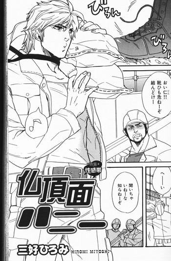 [三好ひろみ] 仏頂面ハニー (肉体派 VOL.7)