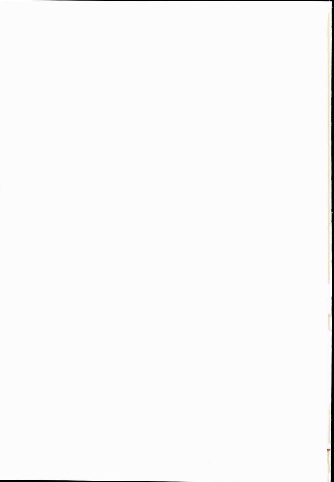 (C90) [チーズカンパニー (ペソ)] おとなりはナズーリン (東方Project)