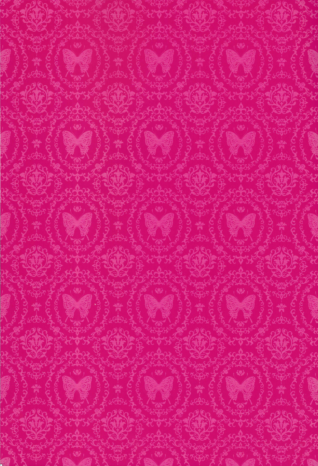 (こみトレ26) [アレマテオレマ (小林由高)] GARIGARI76 (ダンジョン飯) [英訳]