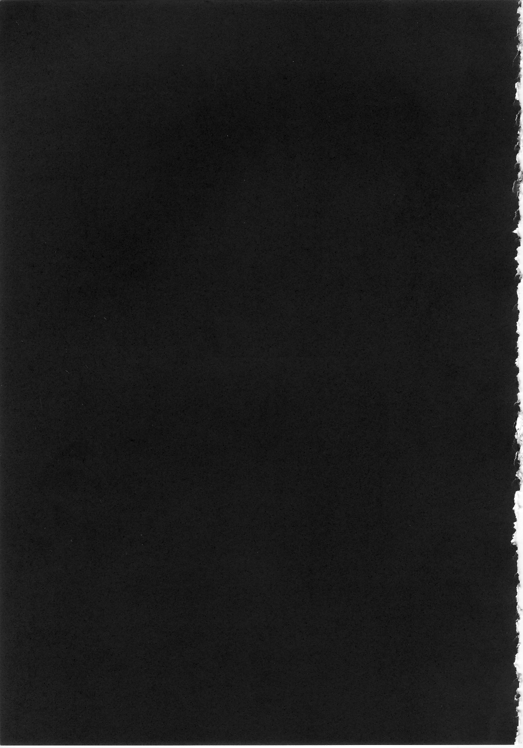 (FF20) [大飛飛走了(大飛)] RION FEVER [中国語]