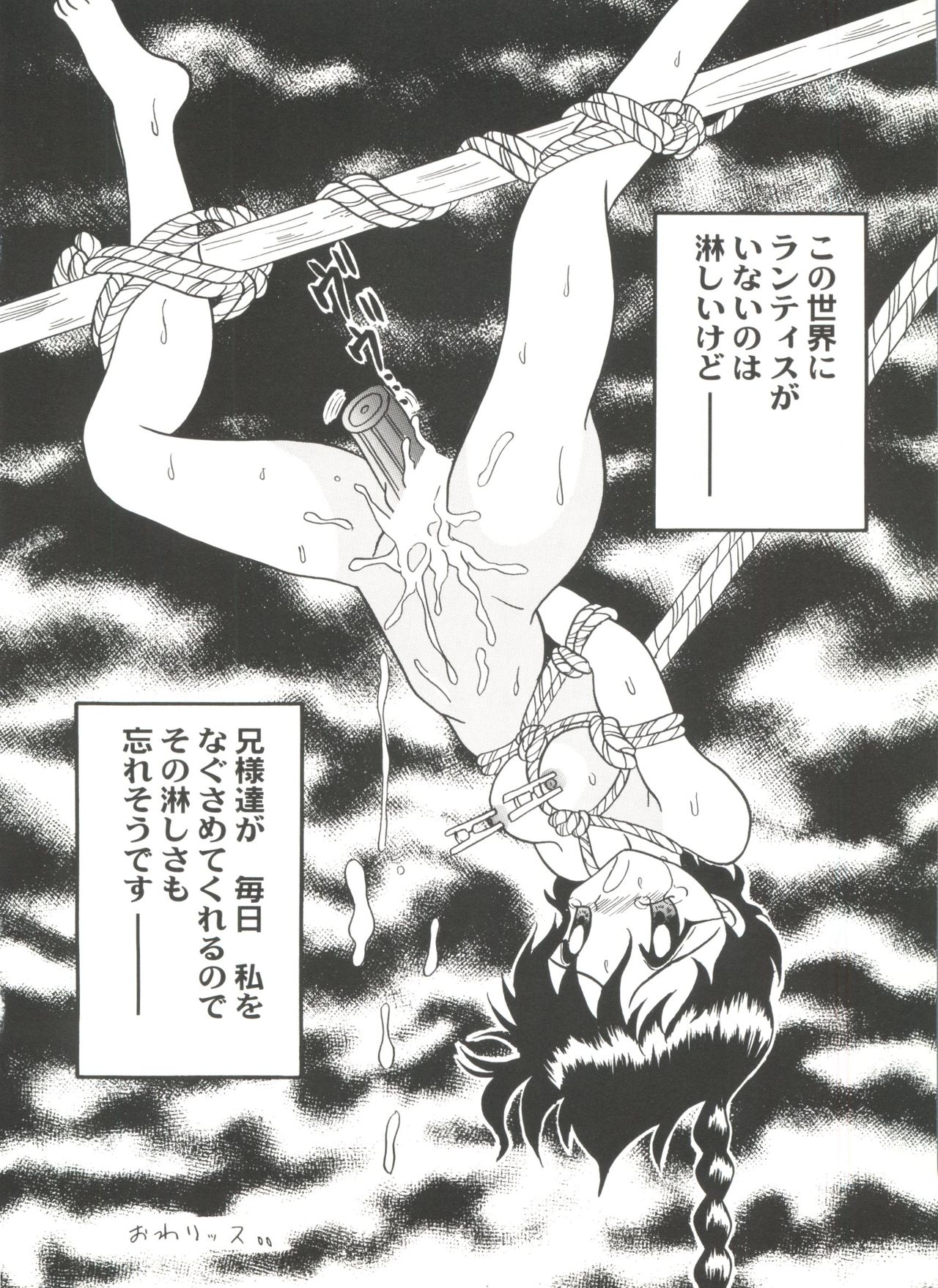 [アンソロジー] アニパロ美姫4 (よろず)