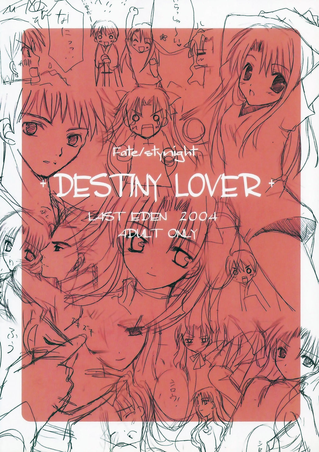 (魔術師との絆) [LAST EDEN (天音真理)] DESTINY LOVER (Fate/stay night)