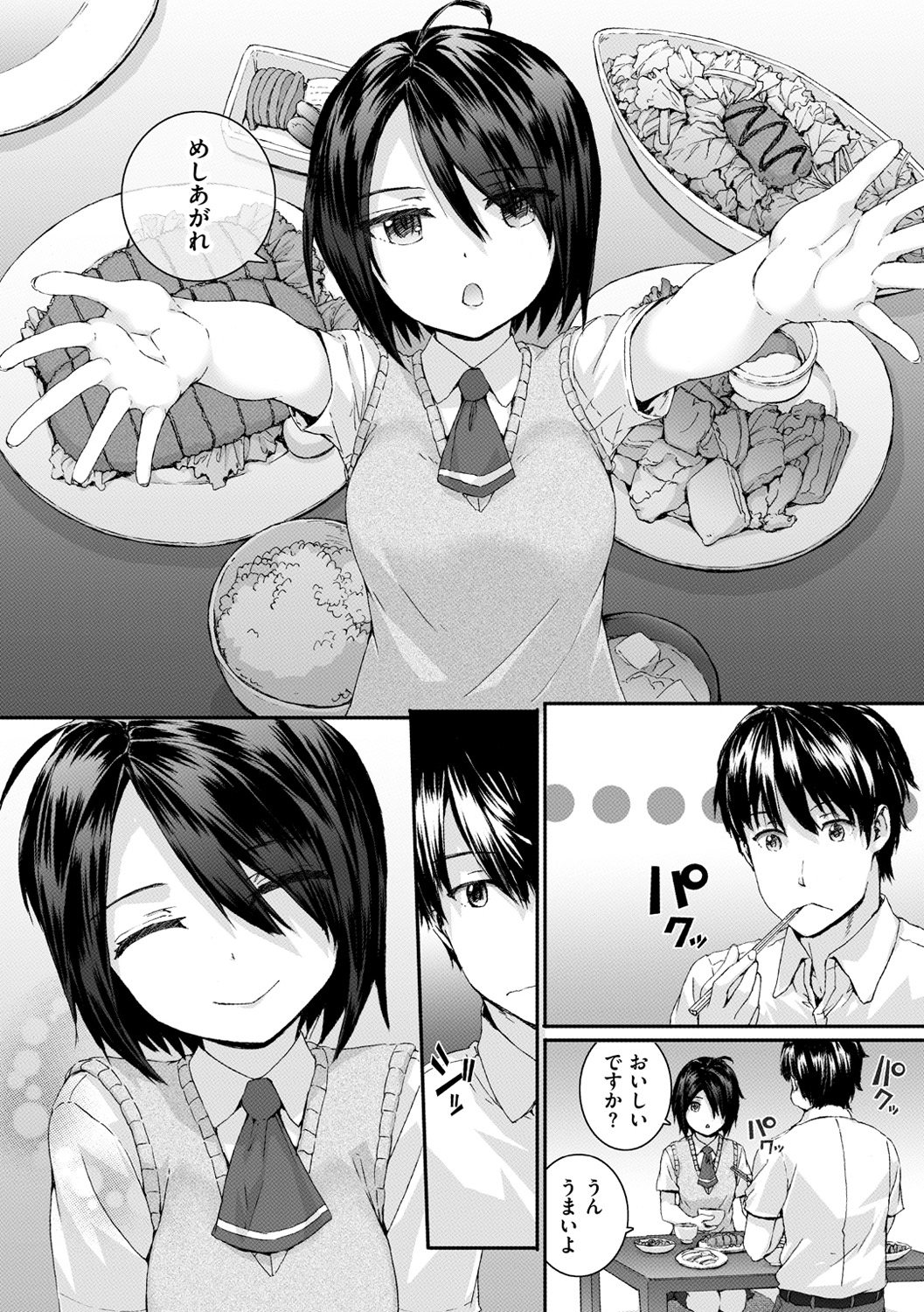 [スミヤ] Bitches Plan [DL版]