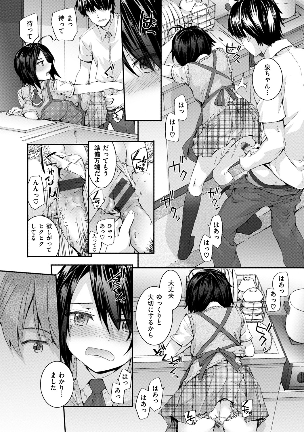 [スミヤ] Bitches Plan [DL版]