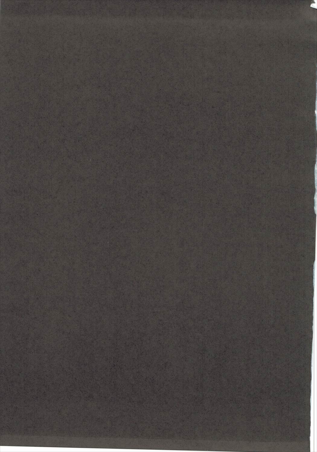 (ぷにけっと33) [ワッフル同盟犬 (田中竕)] なまぱこ (くまみこ)