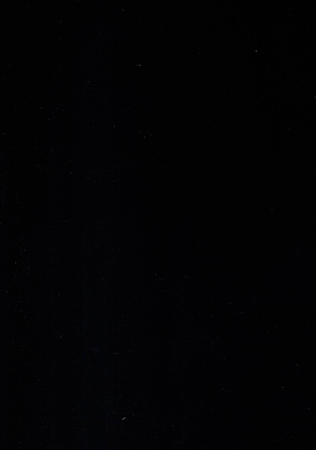 (ぷにけっと33) [ワッフル同盟犬 (田中竕)] なまぱこ (くまみこ)