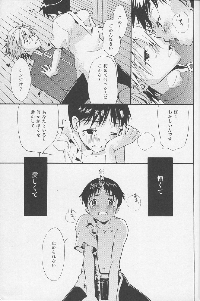 (C77) [RAYTREC (冬凪れく)] +プラス (新世紀エヴァンゲリオン)