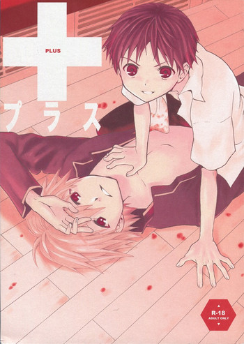 (C77) [RAYTREC (冬凪れく)] +プラス (新世紀エヴァンゲリオン)