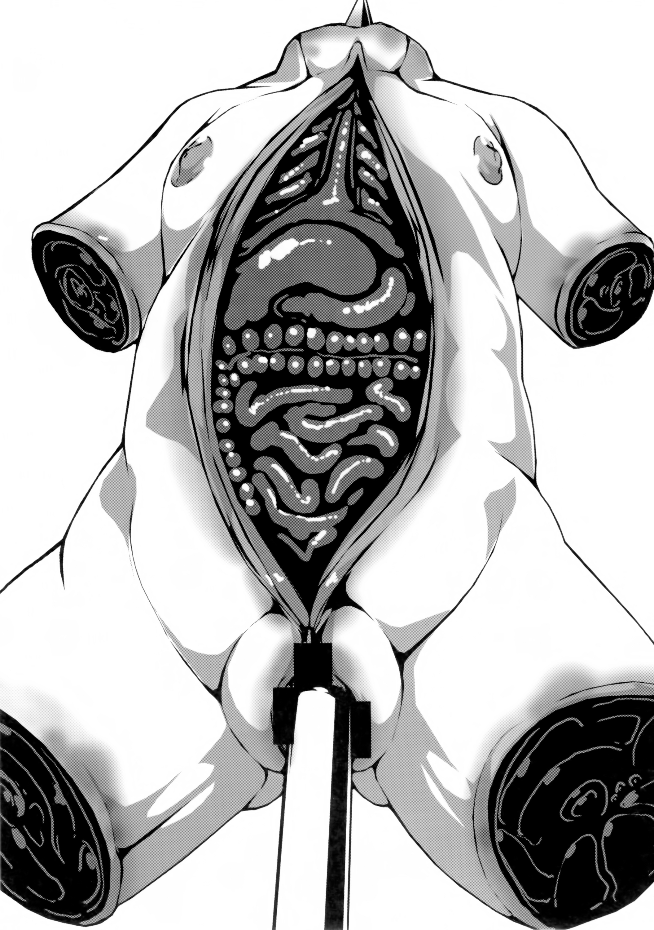 (C88) [ジョング (スキヨ)] 過日 [中国翻訳]