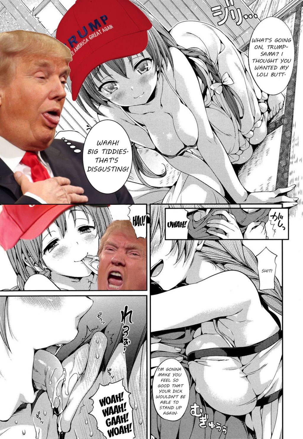ドナルド・トランプ：アメリカを再び素晴らしいものに！
