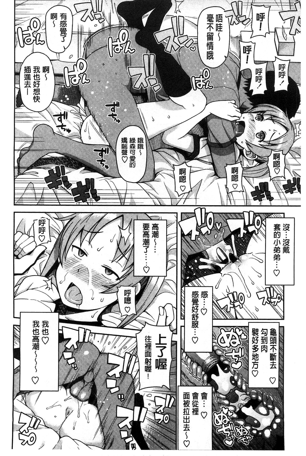 [たまごろー] ハメトモコレクション + 4Pリーフレット [中国翻訳]