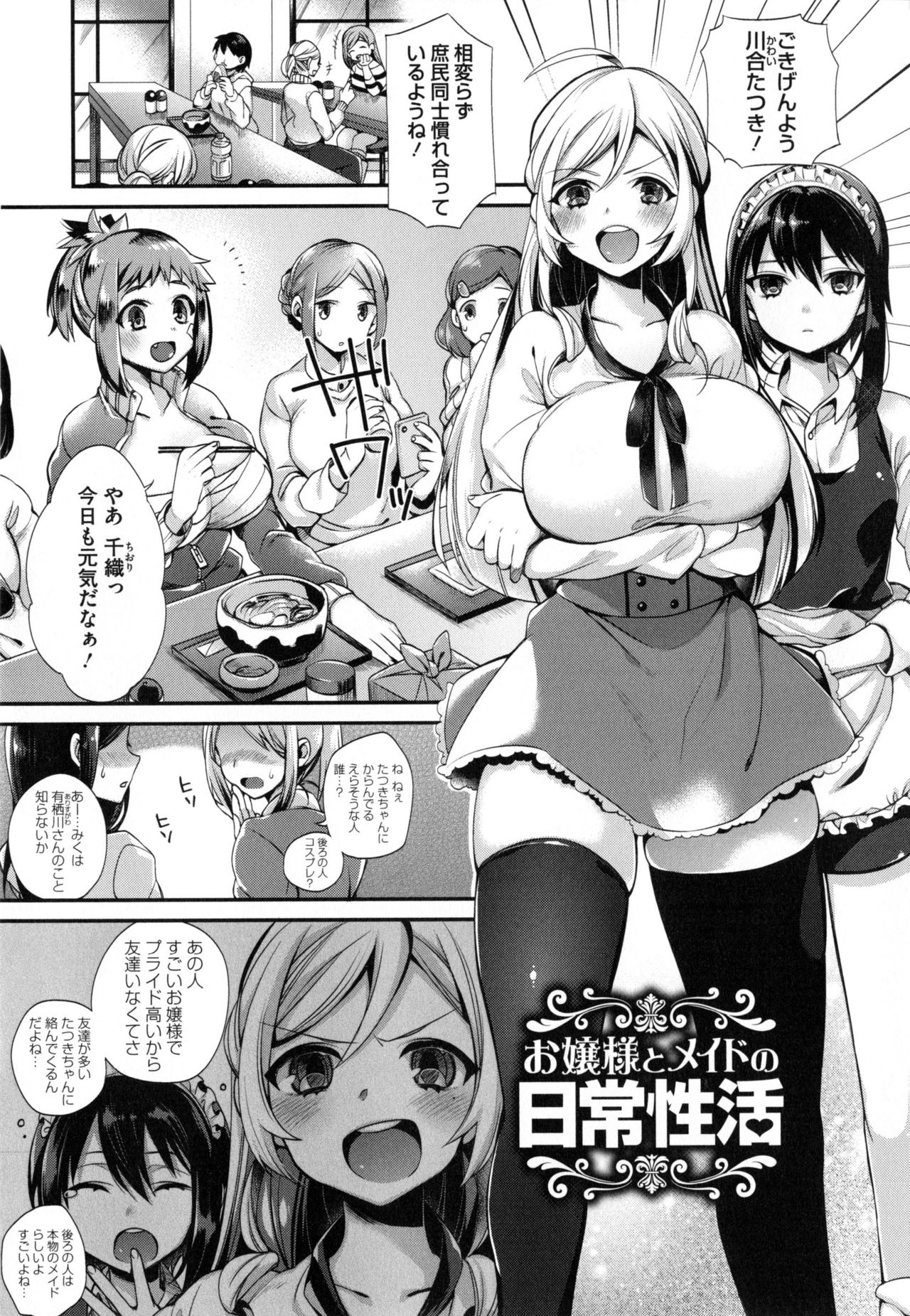 [しんどう] お嬢様とメイドのみだらな性活 + とらのあなリーフレット