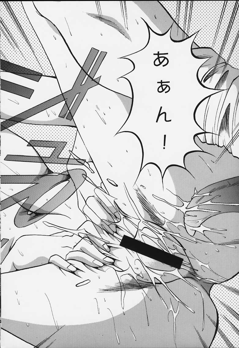 (C52) [あかひら麒麟 (あかひらきりん)] 似非・2 (トゥハート)