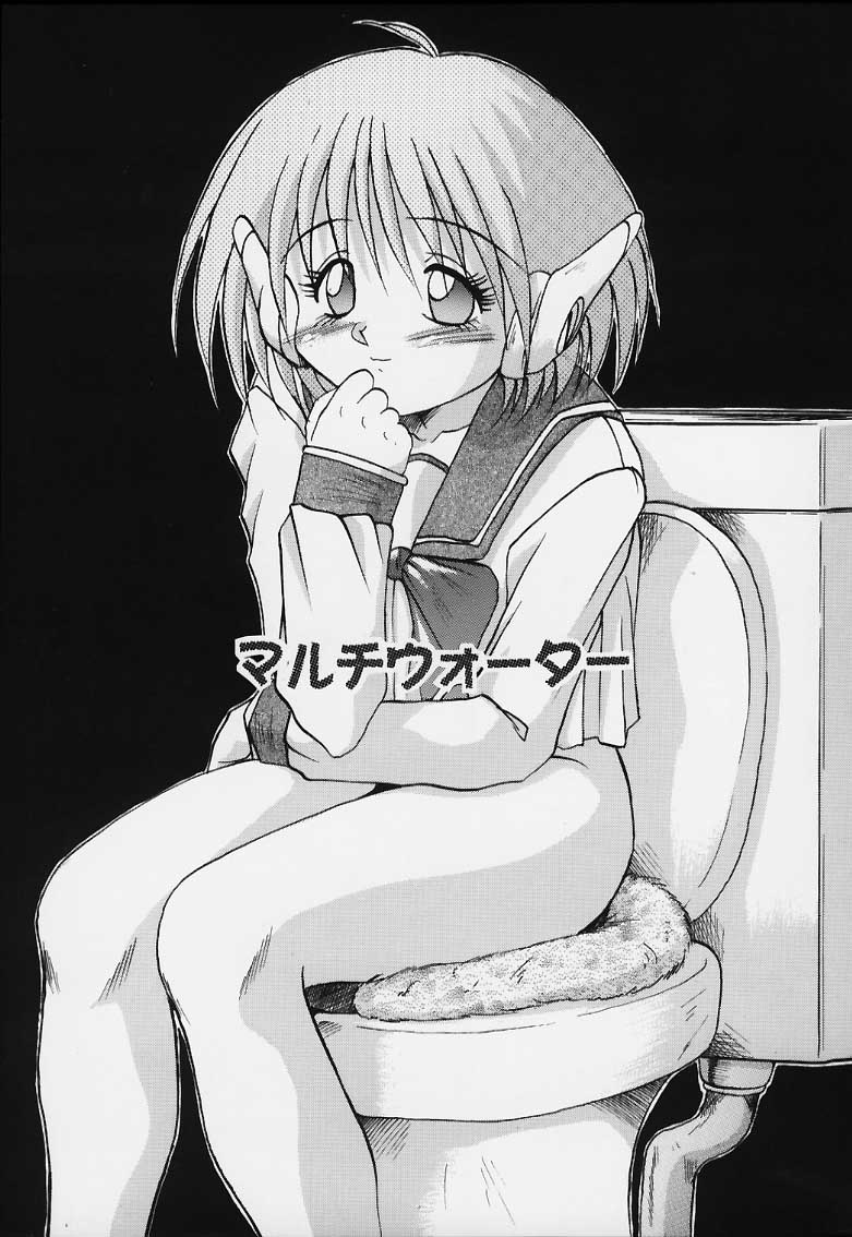 (C52) [あかひら麒麟 (あかひらきりん)] 似非・2 (トゥハート)