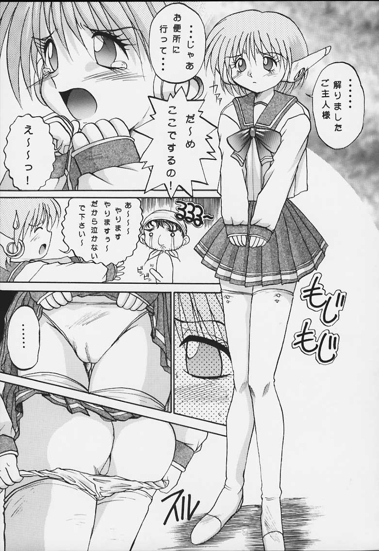 (C52) [あかひら麒麟 (あかひらきりん)] 似非・2 (トゥハート)