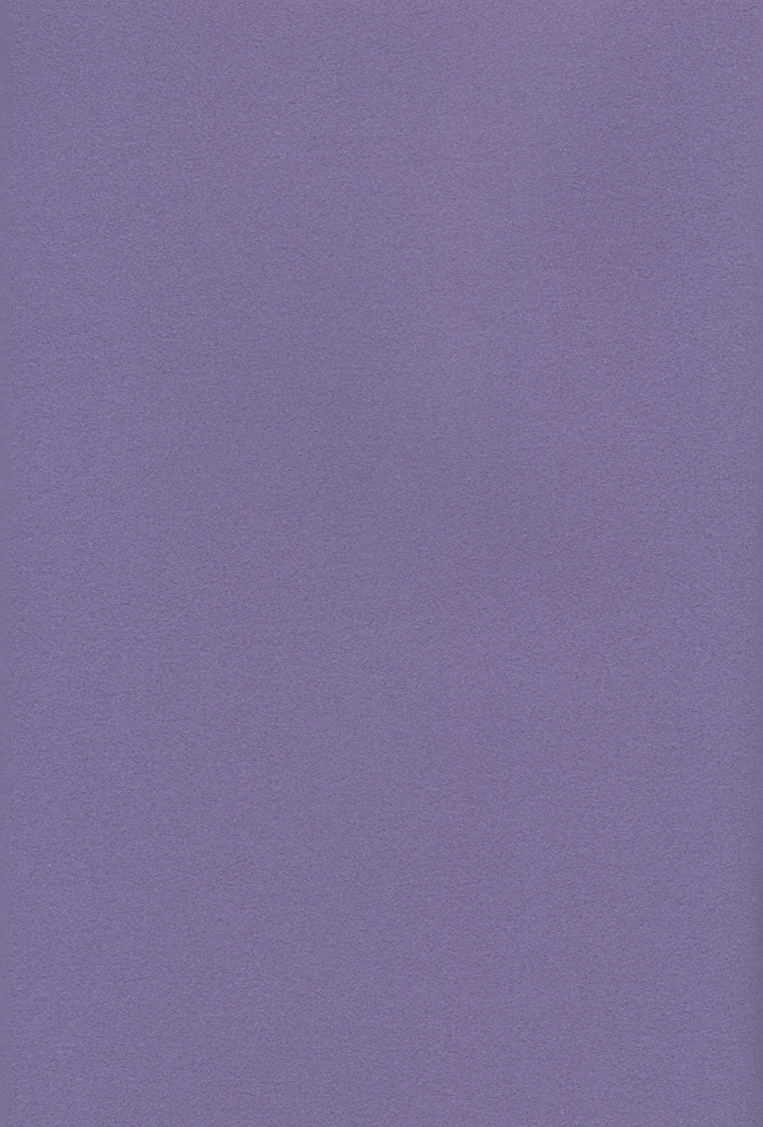 [あつあつCOOK (かたぎりあつこ)] NEOROMANCEGAME (デジモンアドベンチャー02)