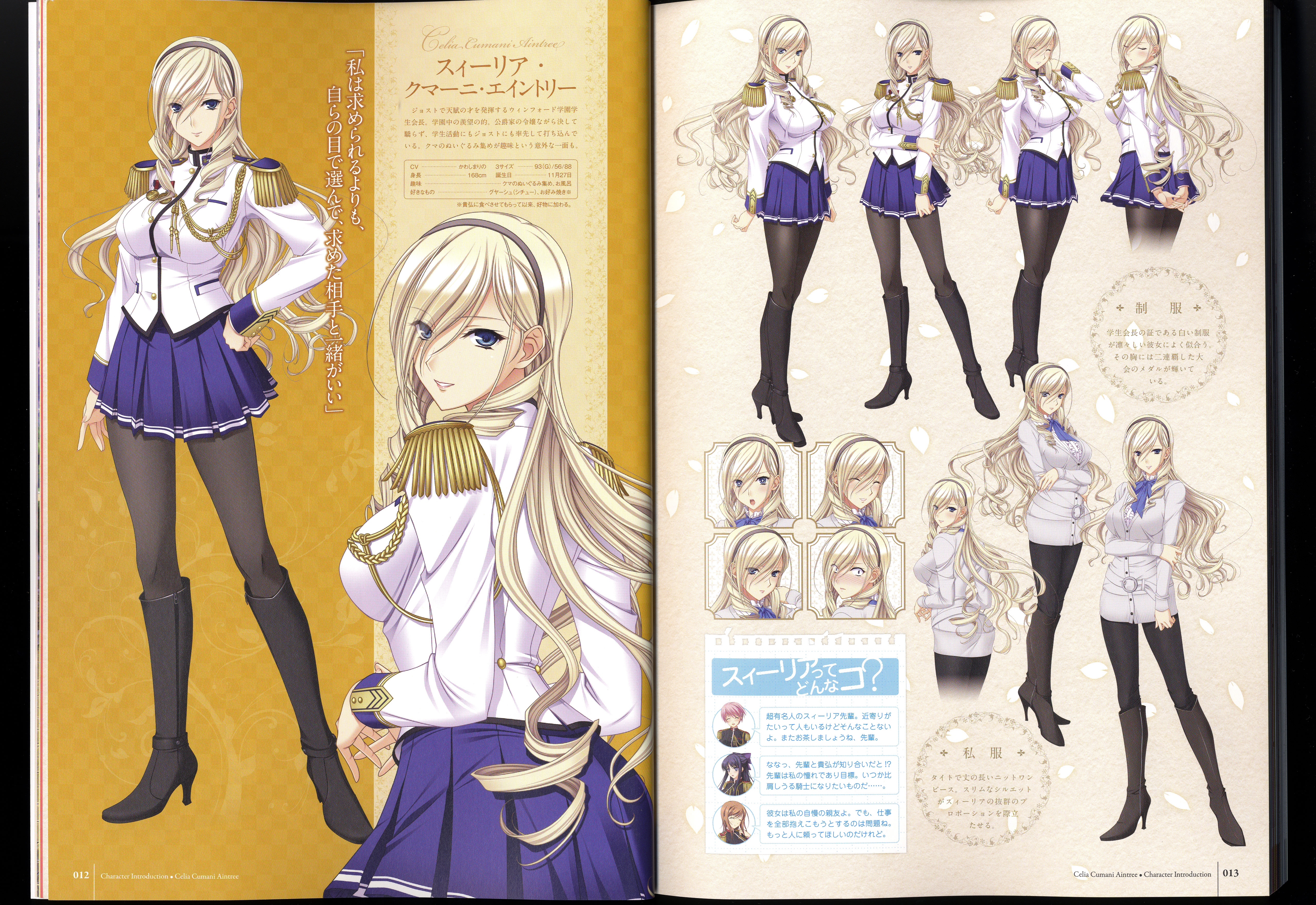 ワルキューレロマンツェ［少女騎士物語］ ビジュアルファンブック