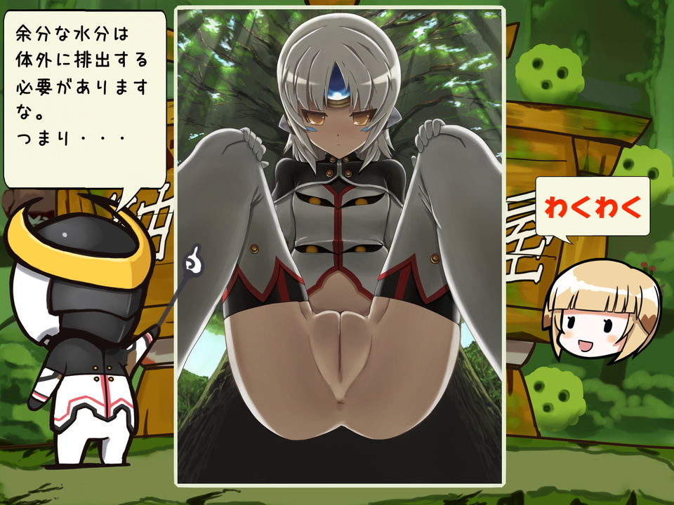 [寅]これはスカトロですか？ (エルソード)