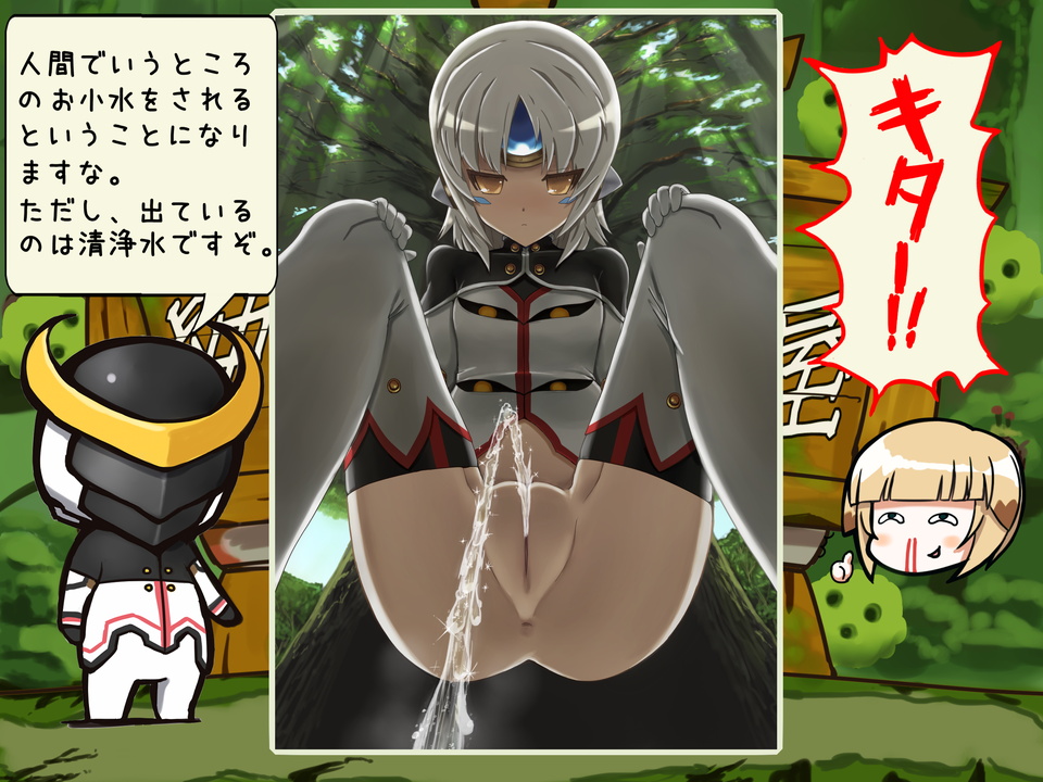 [寅]これはスカトロですか？ (エルソード)