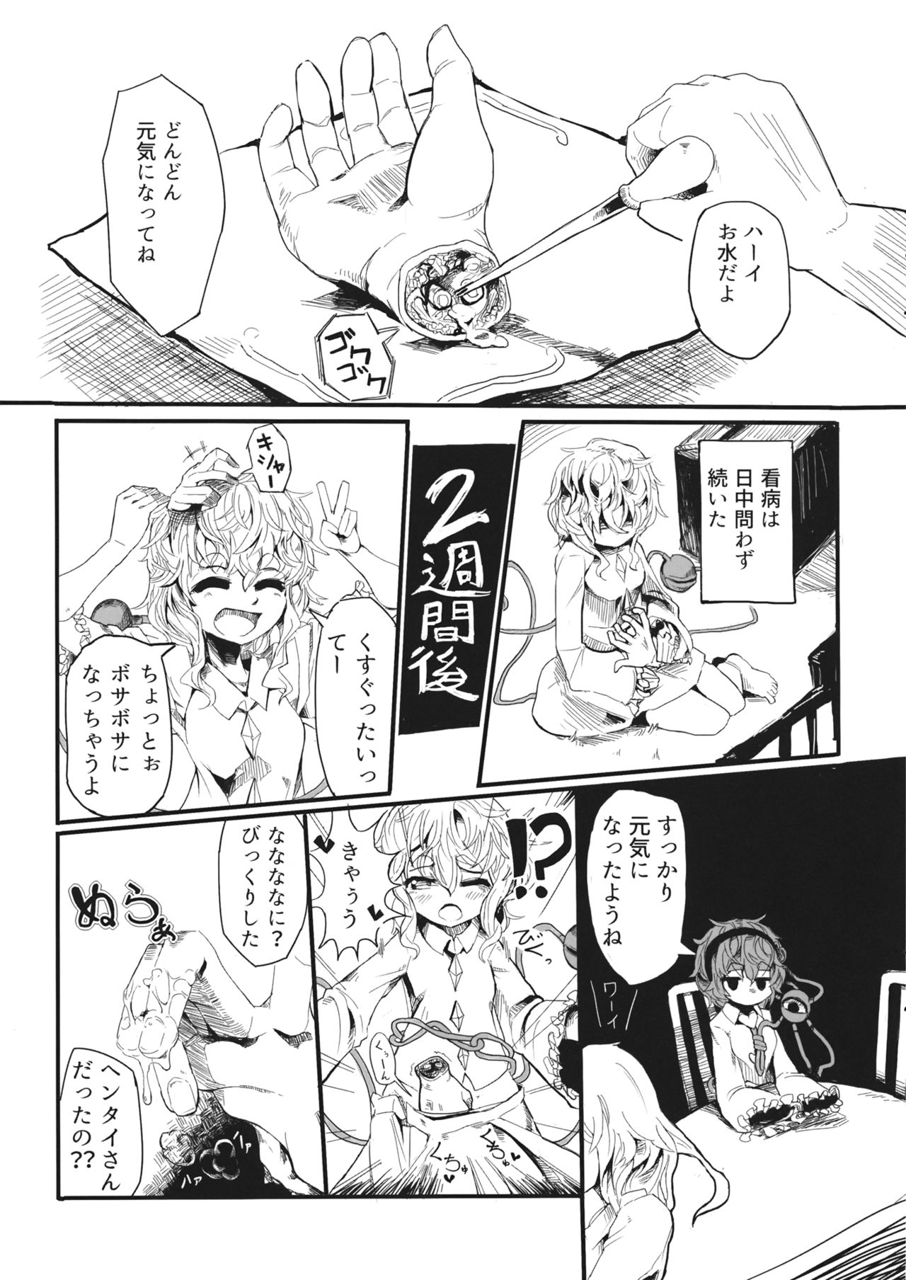 (例大祭13) [いもざいく (みぎ隣)] さとりのお手入れ (東方Project)