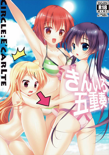 (C88) [E'carlate (壱の)] きんいろ五重奏 (きんいろモザイク)