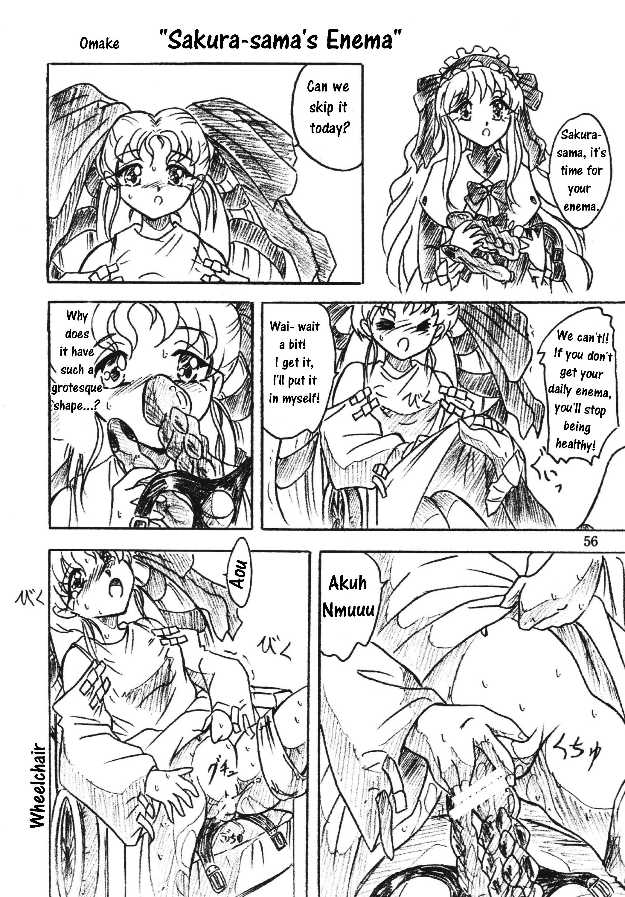 (C70) [すもも堂 (すももEX)] びびあん別冊総集編2 苺白書 (よろず) [英訳]