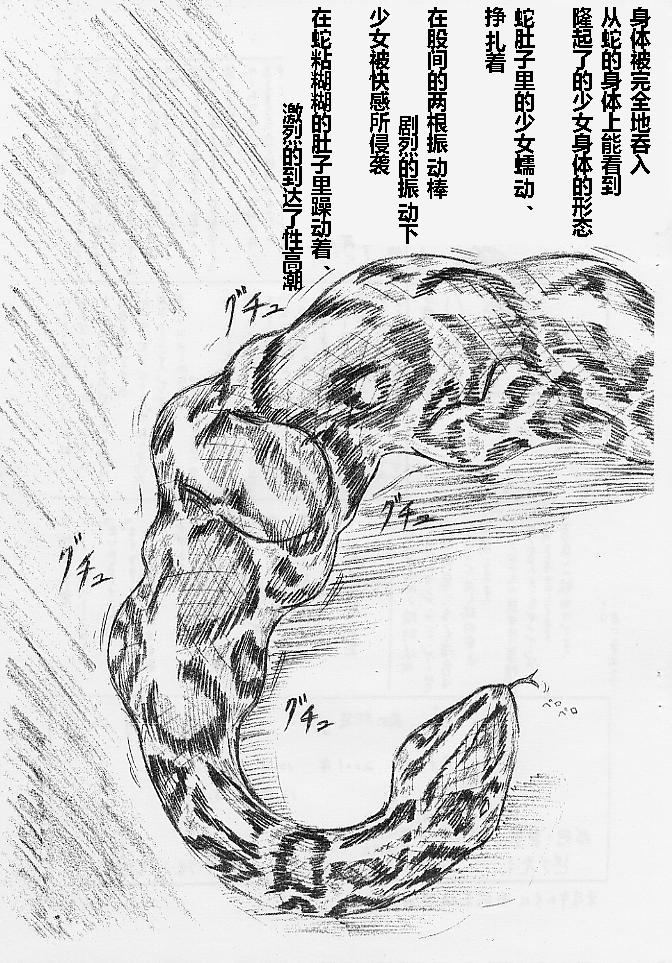 [すもも堂] びびあん別冊.2(有条色狼汉化)