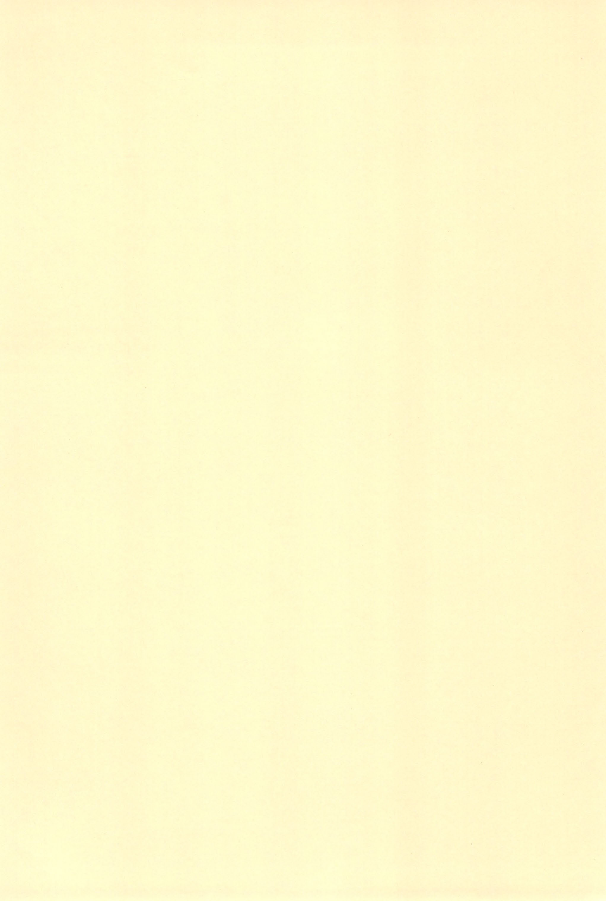 (ぷにケット13) [とくだ (上田裕)] ノーチェとぎゅ～っとおともだち (ふしぎ星の☆ふたご姫)