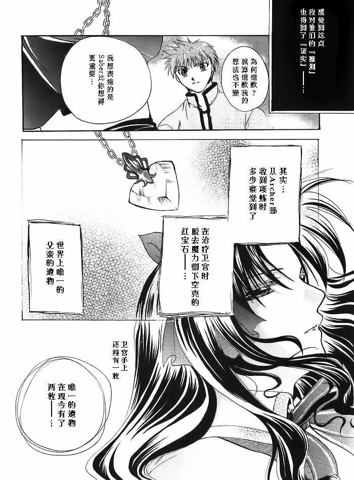 (みみけっと10) [RED DATA BOOK (天乃柳綺)] Albireo (Fate/stay night) [中国翻訳]