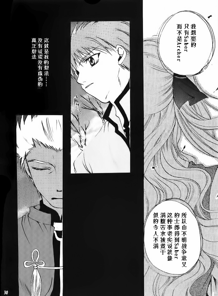 (みみけっと10) [RED DATA BOOK (天乃柳綺)] Albireo (Fate/stay night) [中国翻訳]